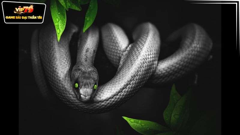 Giải mã việc nằm mơ thấy rắn